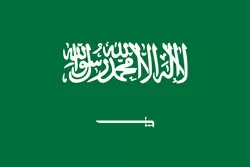 沙特阿拉伯 队徽